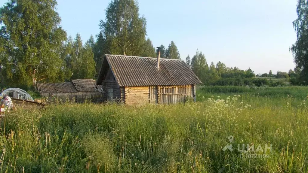 Д концы. Деревня Самсонцы Смоленская область Руднянский район. Деревня Волково Руднянский район Смоленская область. Деревня Мервино Руднянского района Смоленской. Деревня Волково Руднянский район.