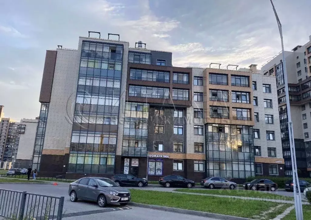 Студия Санкт-Петербург ул. Адмирала Черокова, 20Б (25.0 м) - Фото 1