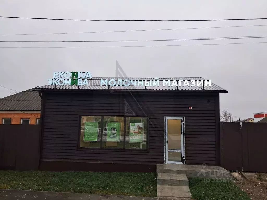 Торговая площадь в Воронежская область, Рамонский район, с. Ямное ул. ... - Фото 1