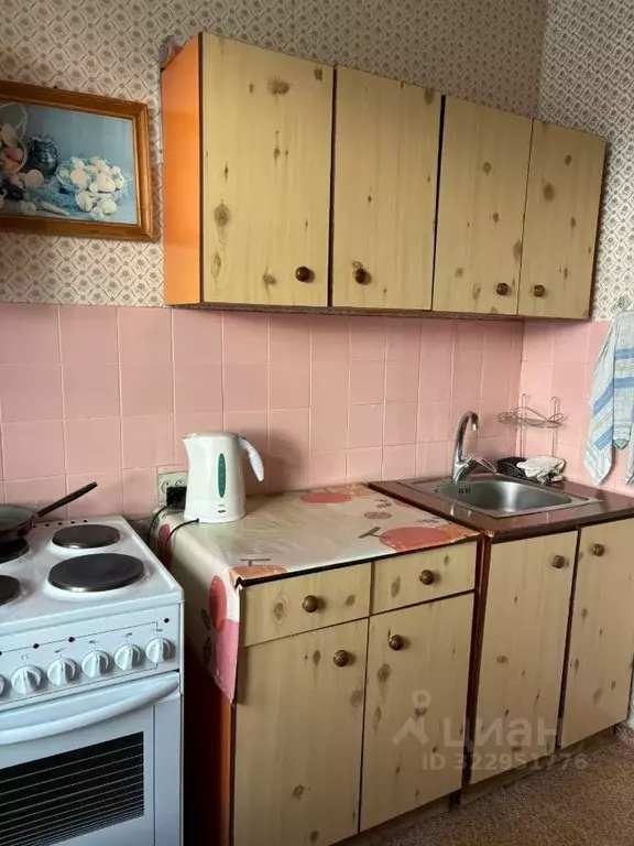 1-к кв. Красноярский край, Красноярск ул. Сергея Лазо, 34 (34.0 м) - Фото 2