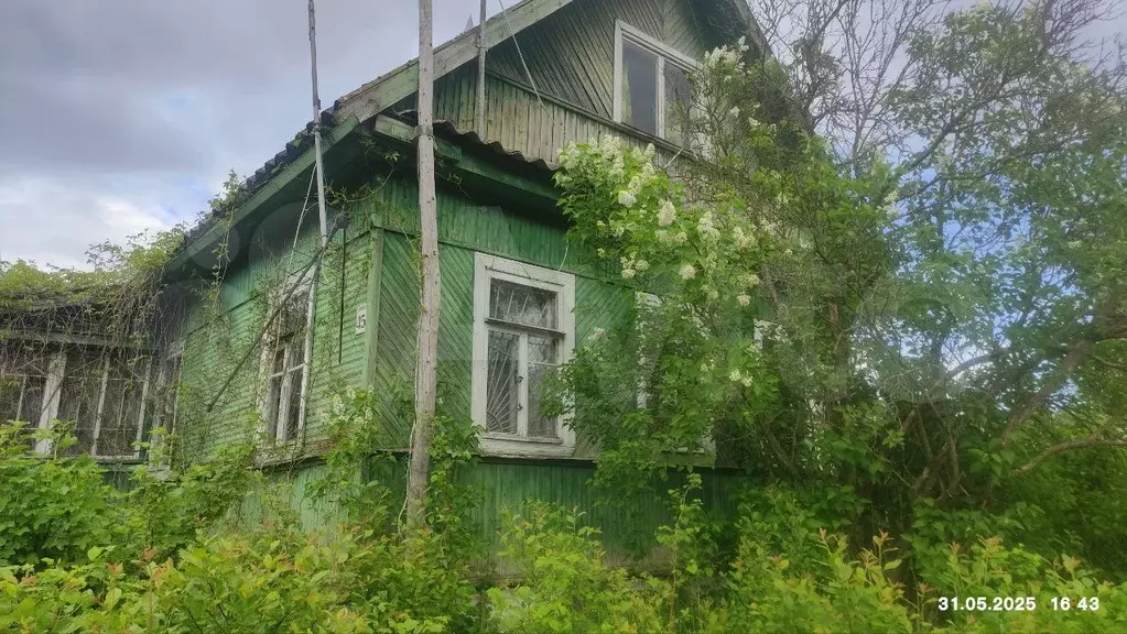 Дача 28,9 м на участке 24 сот. - Фото 1