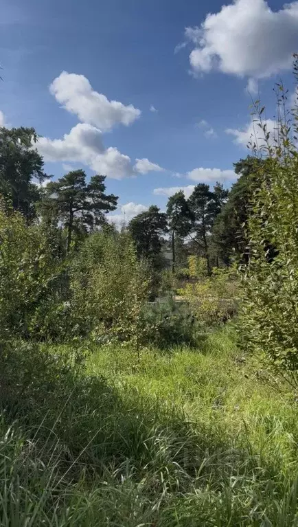 Участок в Московская область, Одинцовский городской округ, д. ... - Фото 1