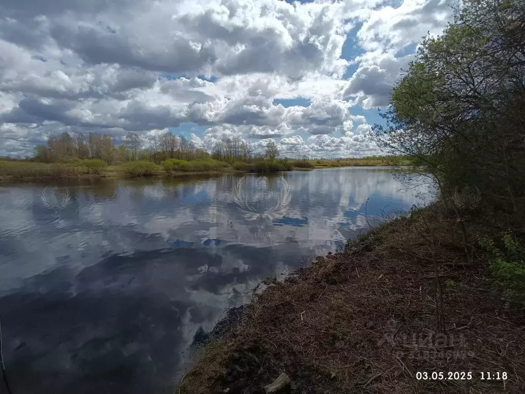 Участок в Новгородская область, Шимский район, Медведское с/пос, д. ... - Фото 1