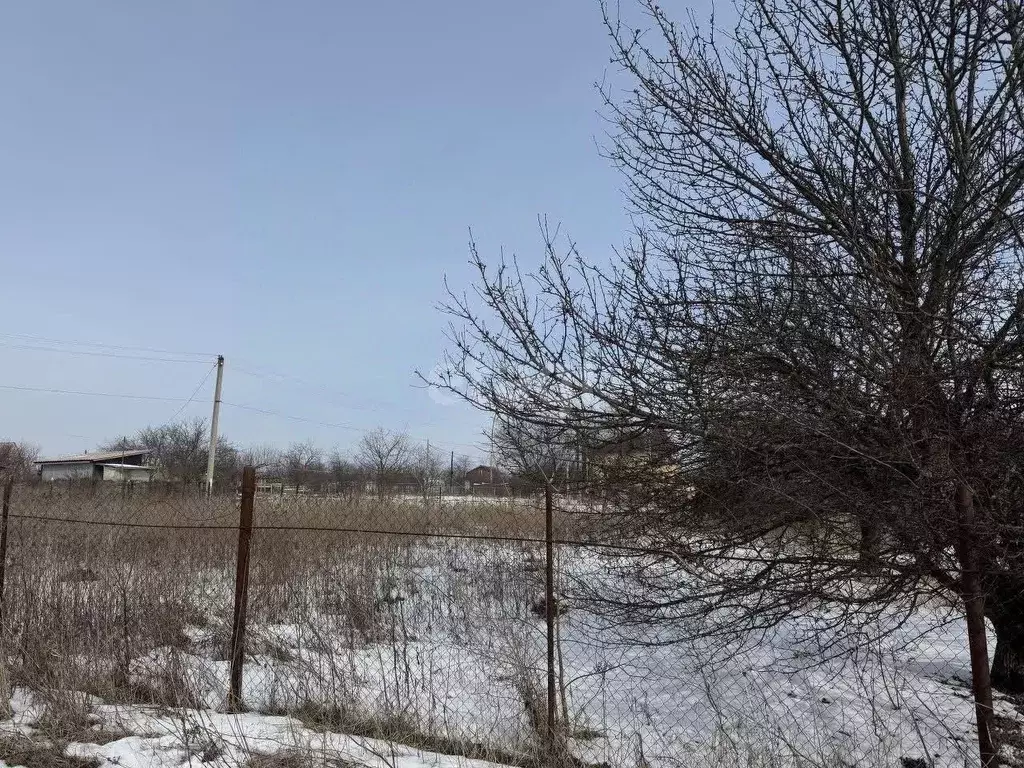 Участок в Курская область, Курск Вишенка СНТ, 267В (8.0 сот.) - Фото 1