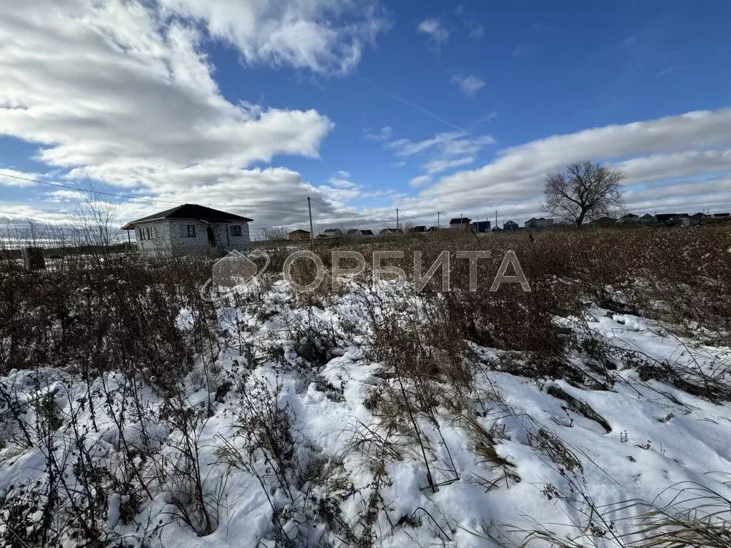 Участок в Тюменская область, Тюменский район, д. Есаулова, Клюква кп  ... - Фото 1