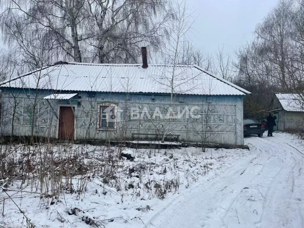 Дом в Воронежская область, Рамонский район, с. Большая Верейка  (62 м) - Фото 0