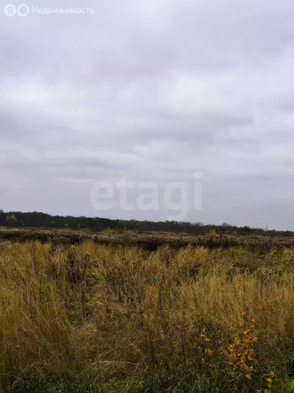 Участок в Калининградская область, Гурьевский муниципальный округ, ... - Фото 2
