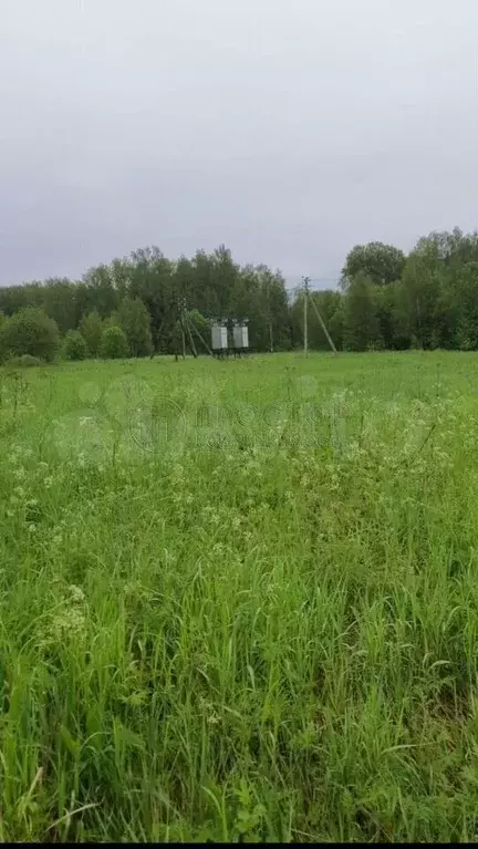 Участок 1,81 га (СНТ, ДНП) - Фото 0