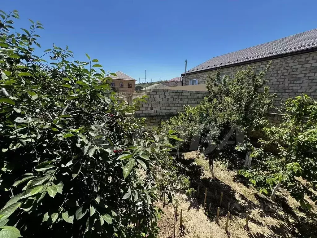 Дом в Дагестан, Дербент ул. Грибоедова, 9 (286 м) - Фото 2