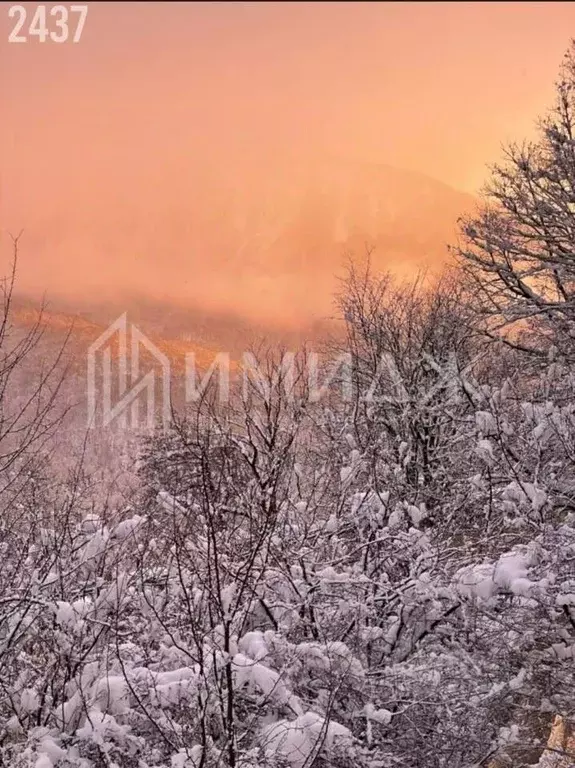 2-к кв. Краснодарский край, Сочи городской округ, Красная Поляна пгт ... - Фото 1