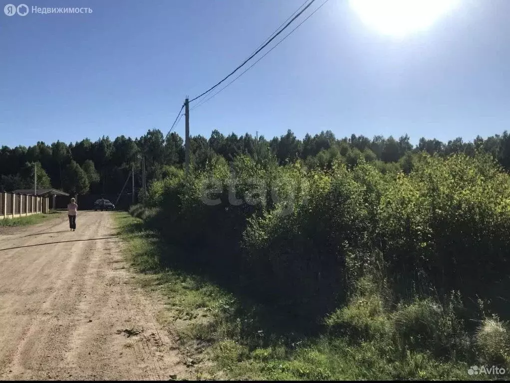 Участок в Ярославский муниципальный округ, деревня Климатино (20 м) - Фото 1
