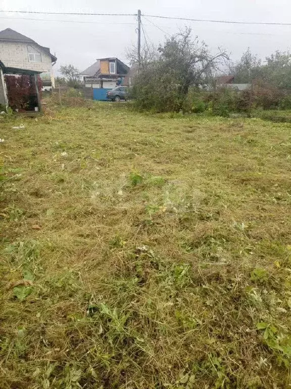 Участок в Ярославский муниципальный округ, садоводческое ... - Фото 1