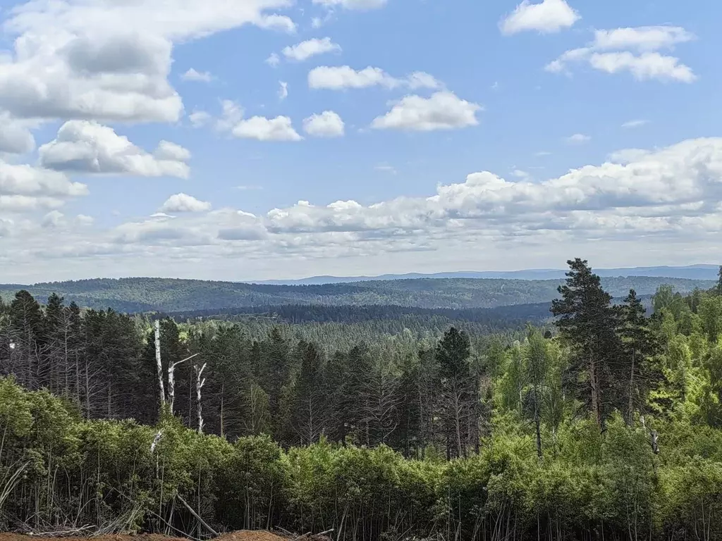 Участок в Иркутская область, Иркутский муниципальный округ, д. ... - Фото 2