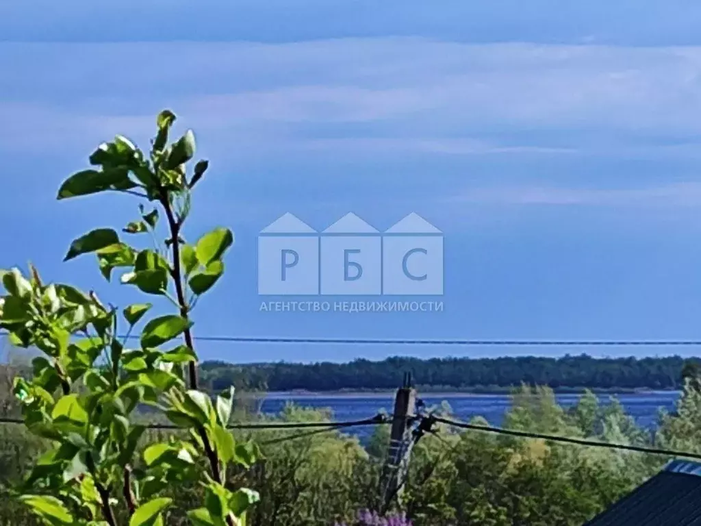 Дом в Саратовская область, Воскресенский район, Елшанское ... - Фото 2