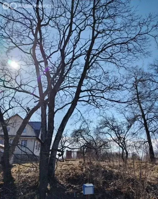Дом в посёлок Стрельна, Волхонское шоссе, 4 (244 м) - Фото 1