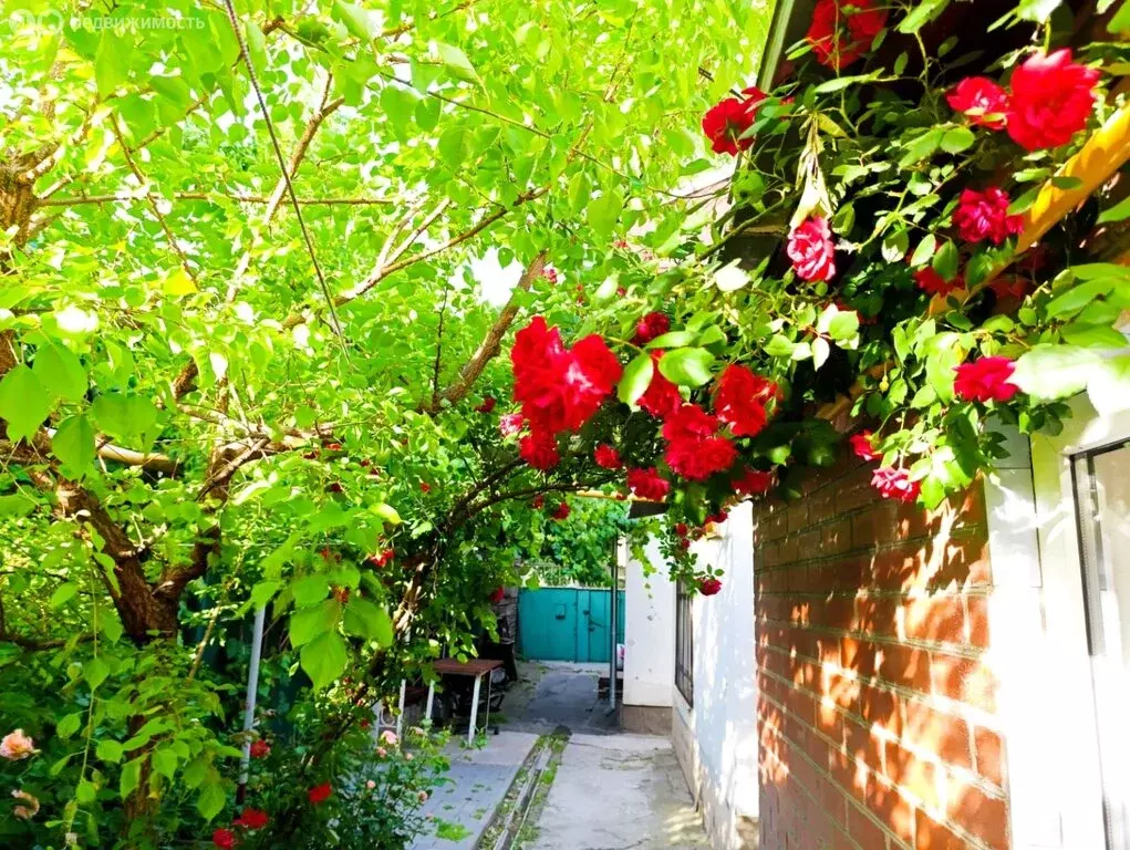 Дом в Ростов-на-Дону, Крепостной переулок, 115 (70 м) - Фото 1