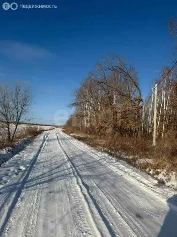 Участок в Амурская область, Благовещенск (12 м) - Фото 1