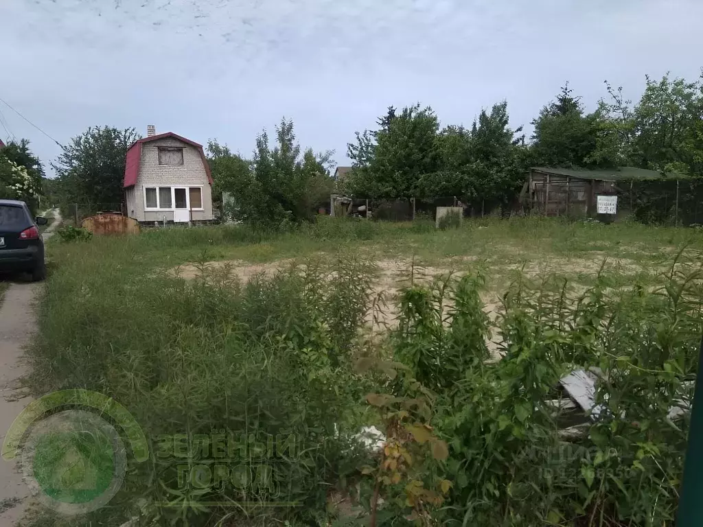 Участок в Калининградская область, Светлогорск Радуга СНТ, 9-я линия, ... - Фото 1