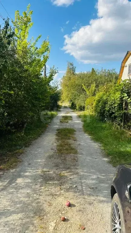 Участок в Воронежская область, Хохольское городское поселение, Эфир ... - Фото 1