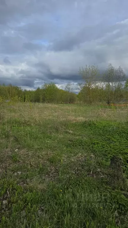 Участок в Московская область, Истра муниципальный округ, д. Юрьево  ... - Фото 1