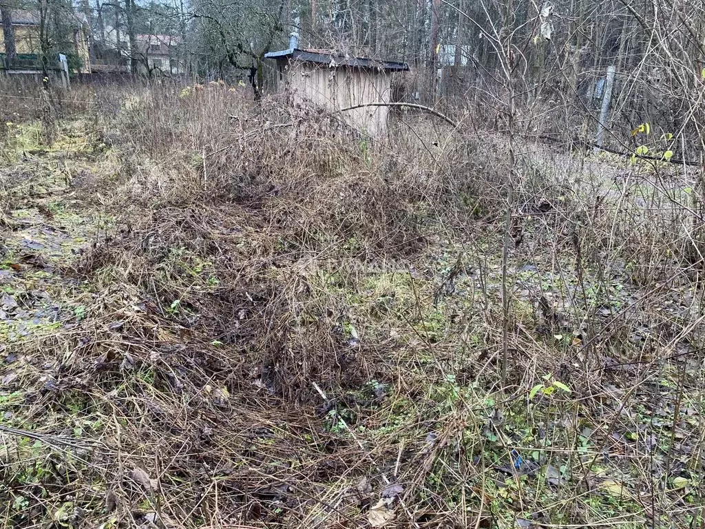 Участок в Московская область, Раменский муниципальный округ, Ильинский ... - Фото 2