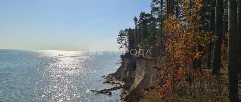 Участок в Новосибирская область, Новосибирский район, Морской ... - Фото 0
