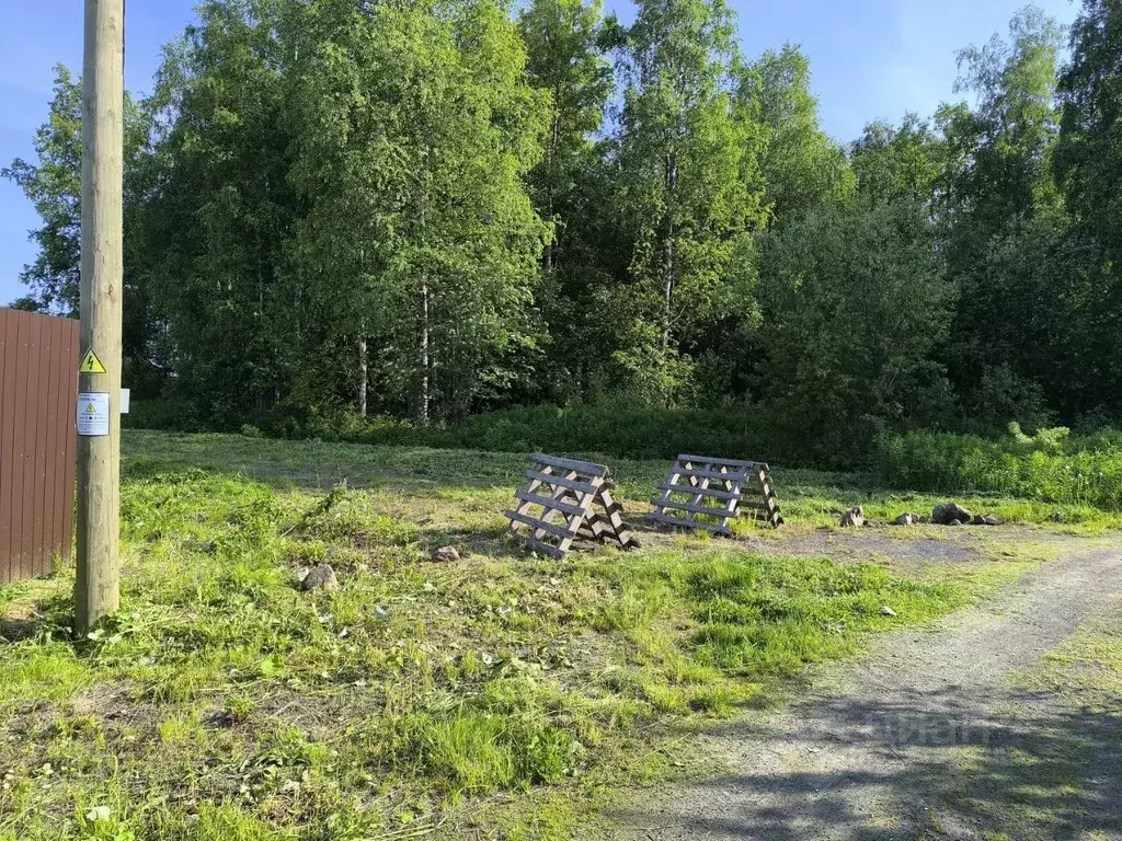 Участок в Карелия, Прионежский район, с. Деревянное ул. Родниковая, 7 ... - Фото 0
