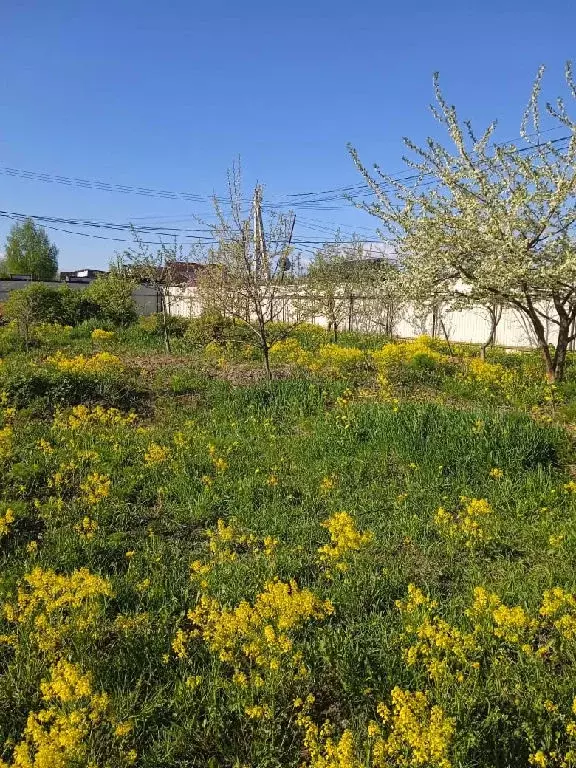 Продается участок в ДНП Дубрава - Фото 1