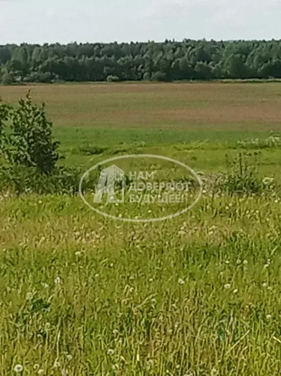 Участок в Удмуртия, Ярский район, д. Бармашур Заречная ул., 24 (88.0 ... - Фото 0