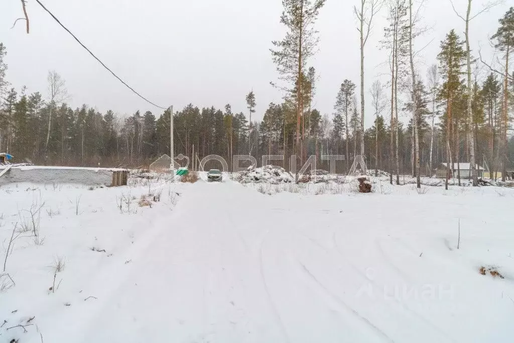 Участок в Тюменская область, Нижнетавдинский район, с. Тюнево ул. ... - Фото 0