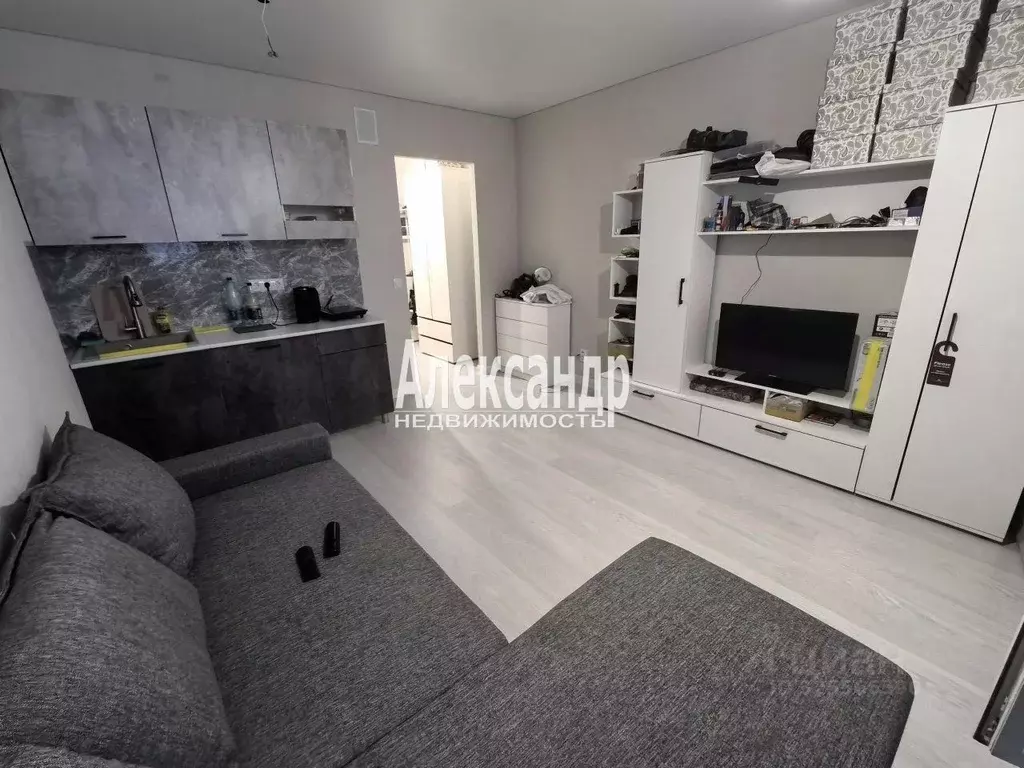 Студия Ленинградская область, Всеволожский район, Заневское городское ... - Фото 1