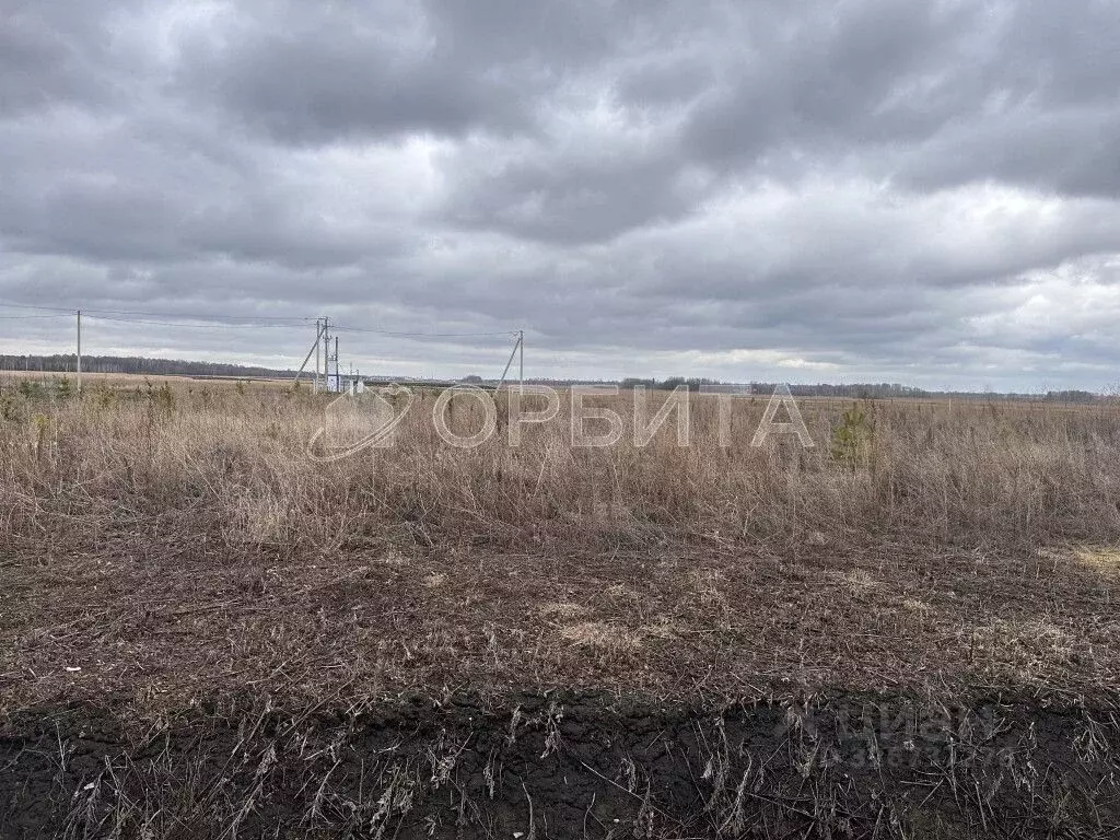 Участок в Тюменская область, Тюменский муниципальный округ, с. Чикча  ... - Фото 1