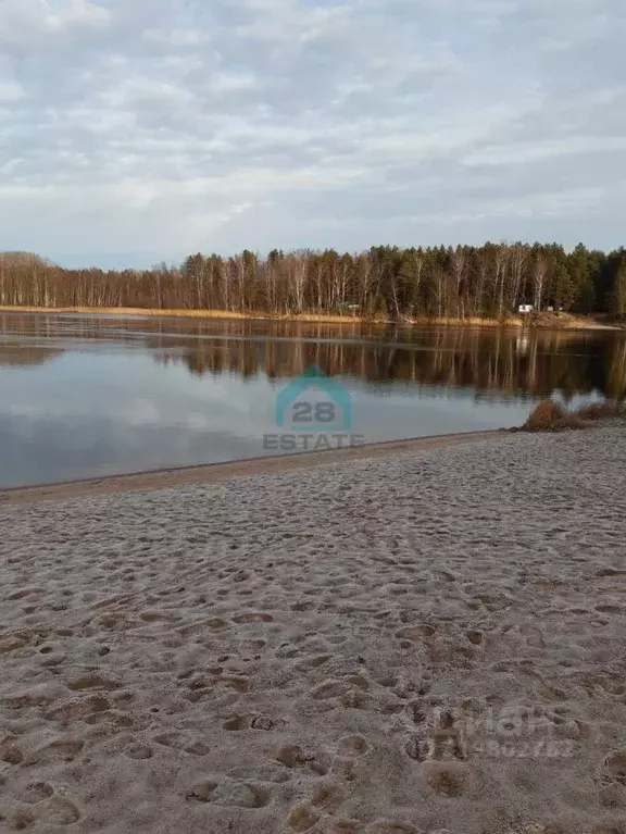 Участок в Ленинградская область, Выборгский район, Гончаровское с/пос, ... - Фото 1
