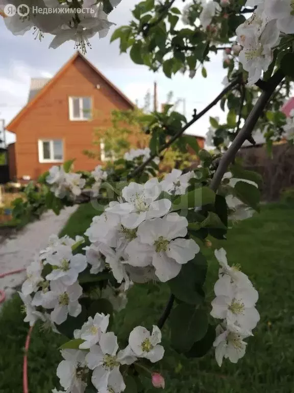 Дом в Абакан, Механическая улица (124 м) - Фото 1