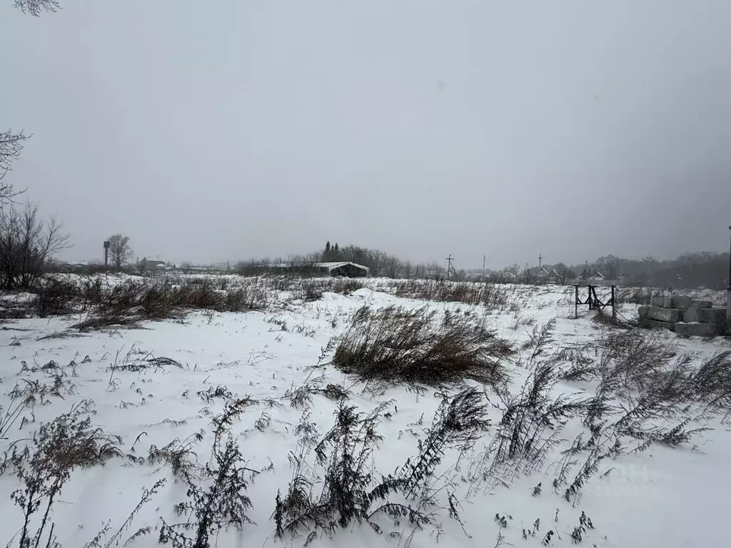 Участок в Алтайский край, Барнаул городской округ, пос. Черницк  (57.0 ... - Фото 1