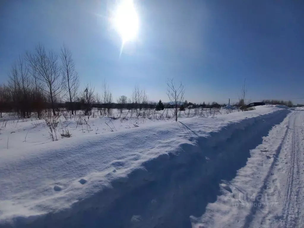 Участок в Алтай, Майминский район, с. Подгорное ул. Заречная, 46 (15.0 ... - Фото 2