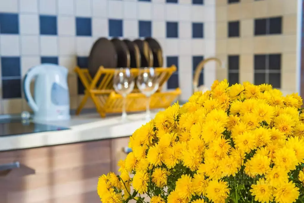 2-к кв. Московская область, Истра муниципальный округ, д. Падиково ул. ... - Фото 2