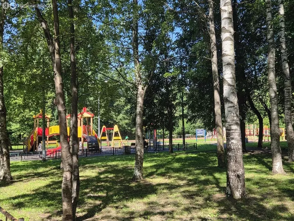 3-комнатная квартира: Санкт-Петербург, проспект Просвещения, 22к2 ... - Фото 1