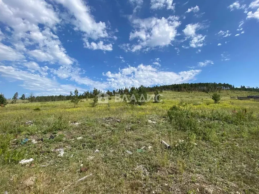 Участок в Бурятия, Иволгинский район, Сотниковское с/пос, с. Сотниково ... - Фото 2