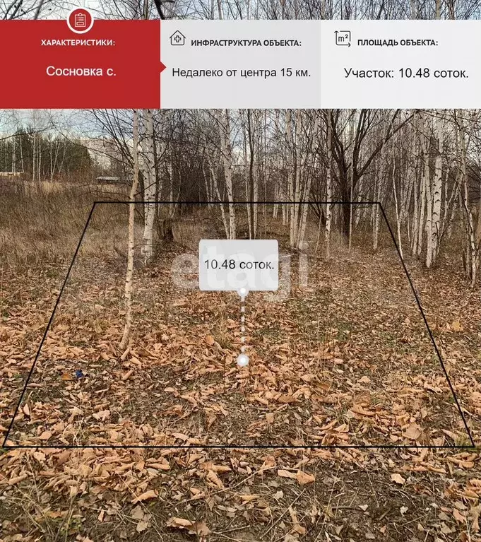 Участок 10,5 сот. (СНТ, ДНП) - Фото 0