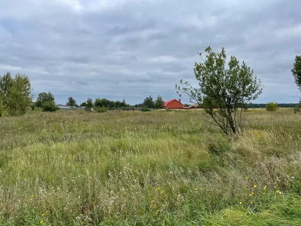 Участок в Тульская область, Щекинский район, Лазаревское с/пос, д. ... - Фото 1