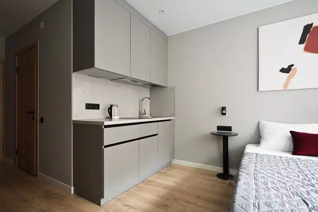 Студия Санкт-Петербург просп. Энергетиков, 2к1 (30.0 м) - Фото 1