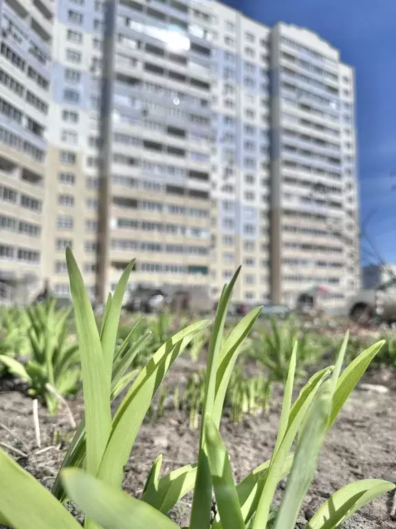 3-к кв. Ивановская область, Иваново Рождественский мкр, 6 (79.3 м) - Фото 1