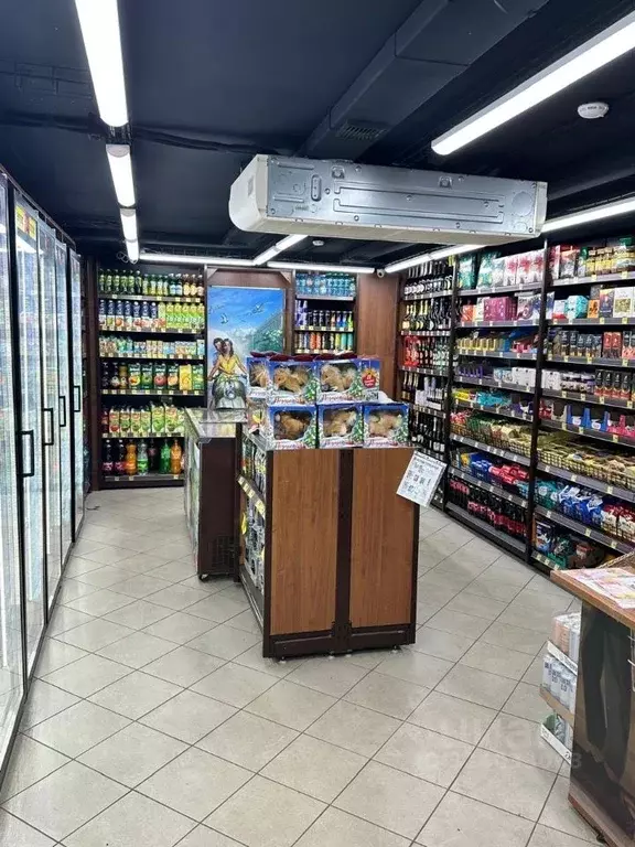 Торговая площадь в Мурманская область, Североморск ул. Душенова, 12 ... - Фото 2