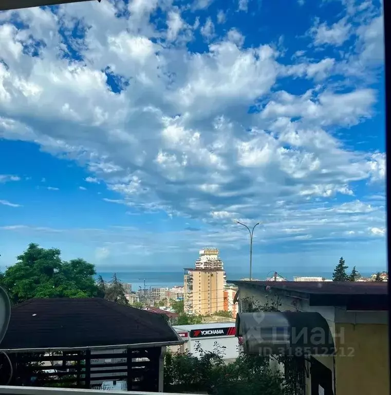 1-к кв. Краснодарский край, Сочи Виноградная ул., 224/2 (40.0 м) - Фото 1