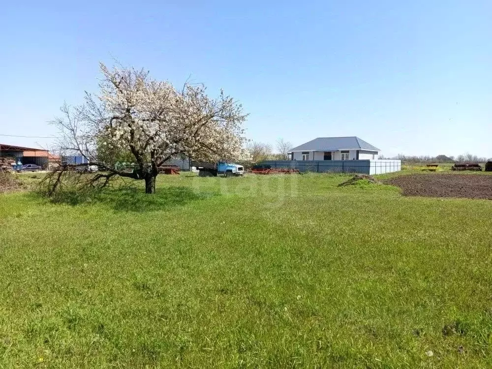 Участок в Краснодарский край, Темрюк Северные Сады СНТ, ул. Мускатная ... - Фото 2