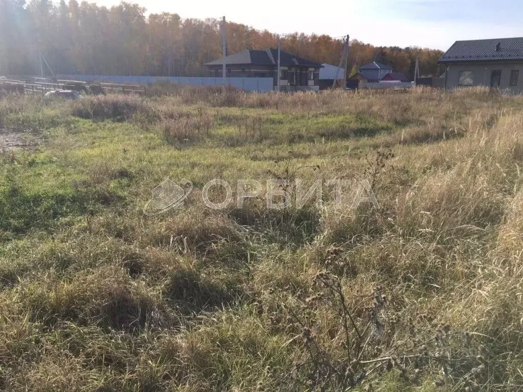 Участок в Тюменская область, Тюменский муниципальный округ, с. Ембаево ... - Фото 2