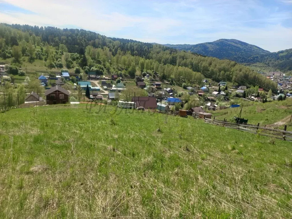 Участок в Алтай, Майминский район, с. Кызыл-Озек ул. Грушевая, 4 ... - Фото 2