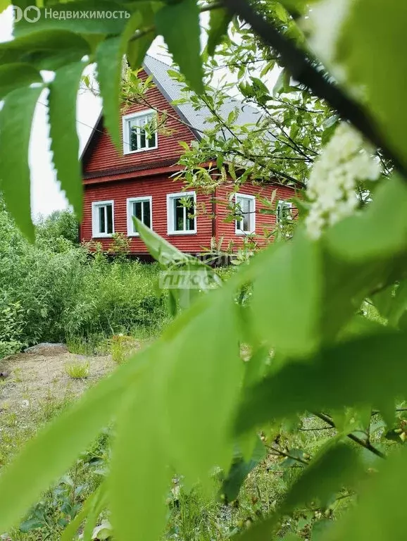 Дом в село Маэкса, Заречная улица, 46 (42 м) - Фото 0