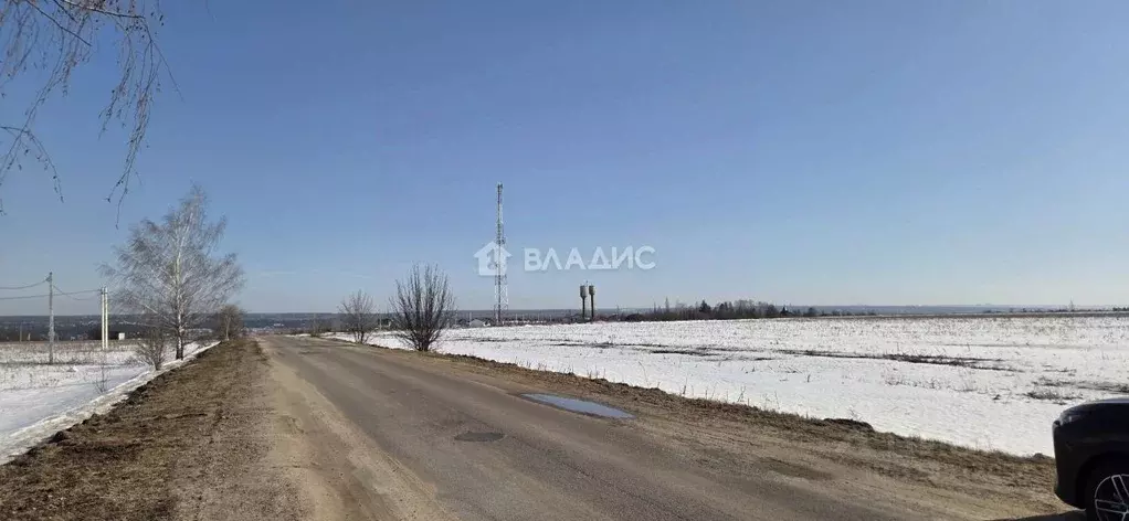 Участок в Воронежская область, Рамонский район, Новоживотинновское ... - Фото 1